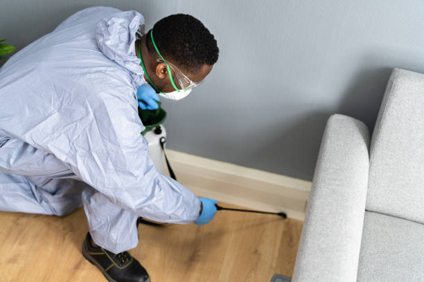 Professional Pest Control in Cisco, TX